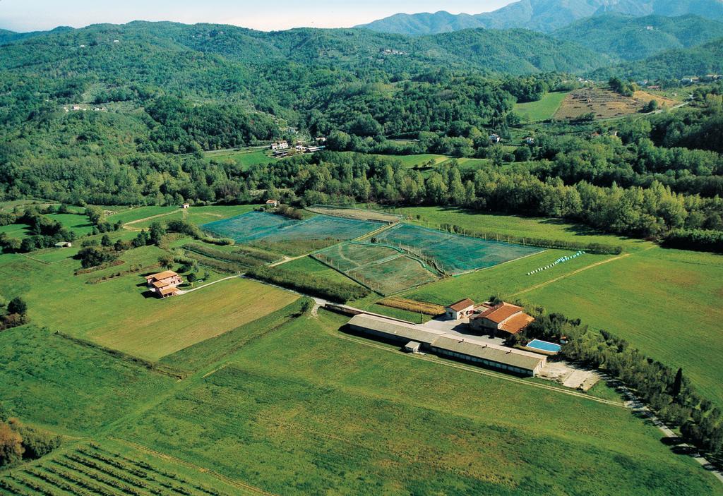 Agriturismo La Praduscella Fivizzano Buitenkant foto